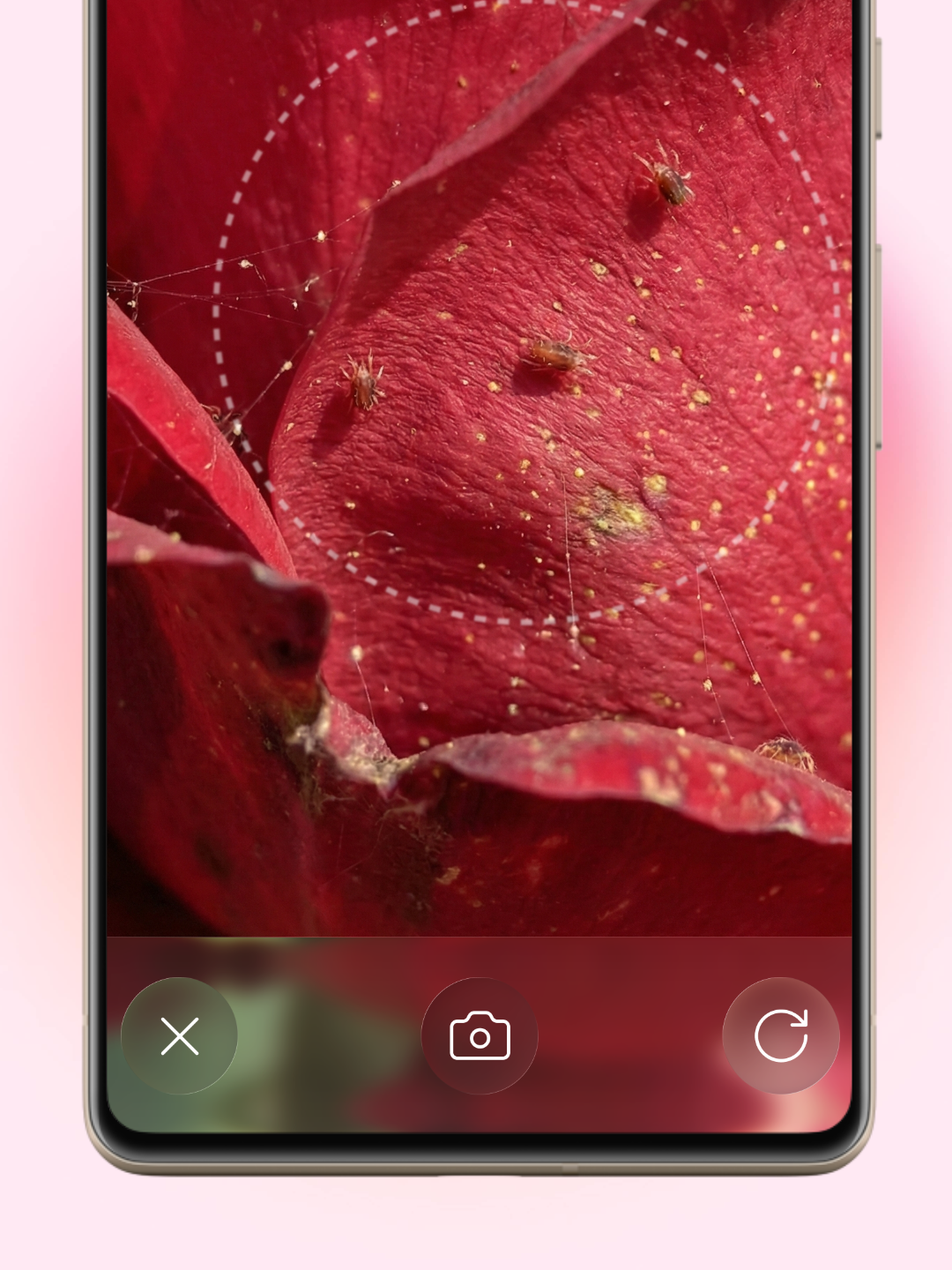 Log Issue with Photo
